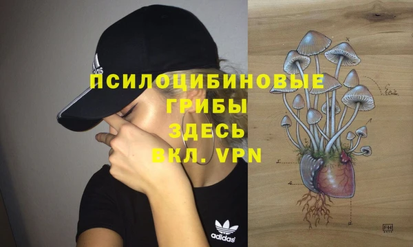 герыч Белокуриха