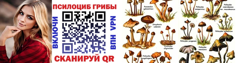 Псилоцибиновые грибы MAGIC MUSHROOMS Краснознаменск