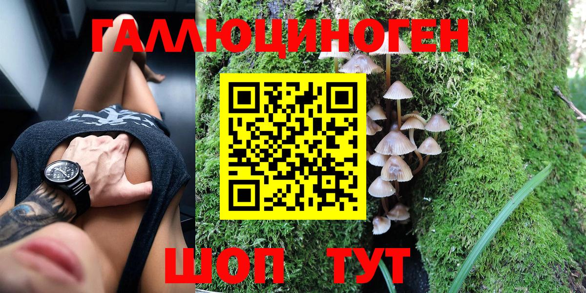 Галлюциногенные грибы GOLDEN TEACHER  Краснознаменск  Псилоцибиновые грибы мухоморы 
